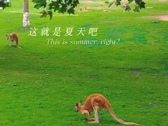 -西霞口神雕山野生动物世界