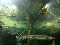 -成都浩海立方海洋公园