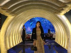 -迪拜帆船酒店海底餐厅