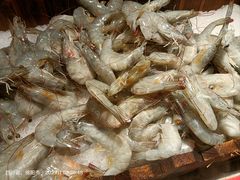 -吉布鲁牛排海鲜自助(CBD万达店)