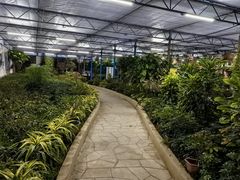 -南宫五洲植物乐园