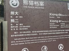 -都江堰中华大熊猫苑