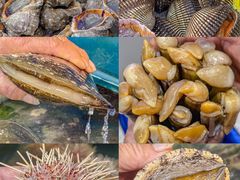 -小铜锣湾海鲜家常菜馆(河西店)