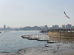 -星海广场
