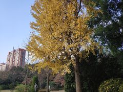 -宋庆龄陵园