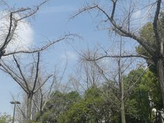 -怡园饭店-餐厅(四望亭店)