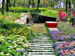 -春花秋色城市公园