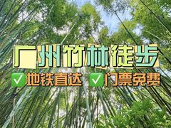 -玉树公园