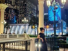 -澳门威尼斯人综合度假区