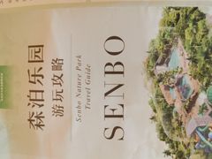 -杭州开元森泊度假乐园