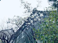 -豫园