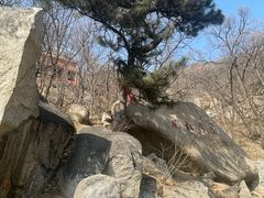 -天津盘山风景名胜区