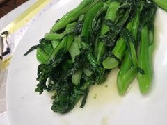 盐水灼菜心-鹅城