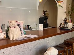 -有猫主题·治愈系猫咖(曾厝垵店)