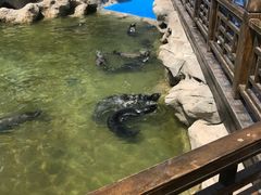 -华夏文旅海洋公园