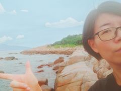 -广东惠东海龟国家级自然保护区