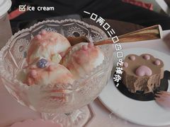 鲜果冰淇淋-喵屿·大理花园猫咖