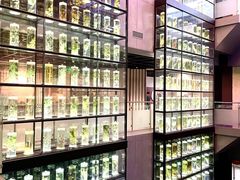 -广东中医药博物馆