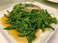 爽口豌豆苗-东四民芳餐厅(世茂工三店)