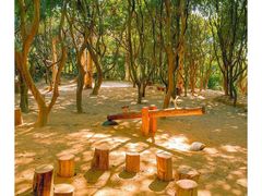 -梧桐山风景名胜区