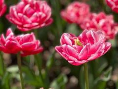 -玄武湖景区-情侣园游乐场