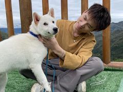 -硗碛藏寨·神木垒景区