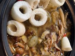 -蘑统田下·野生菌火锅