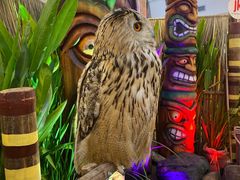 -尚泰清迈机场购物中心