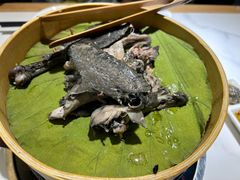 大巴山手撕旧院黑鸡-黑鸡小馆(金源店)