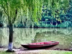 -沐仙湖湿地公园