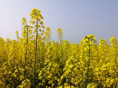 -中国天府农业博览园