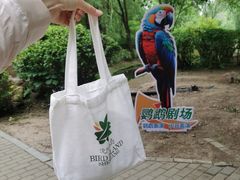 -沈阳鸟岛