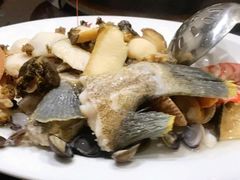 海捕野生红斑鱼-凯华海鲜火锅·传承三十六年