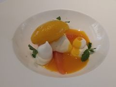 -蝶舍·MAISON PAPILLON