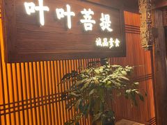 -叶叶菩提(旗舰店)