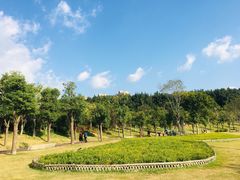 -牛岗山公园