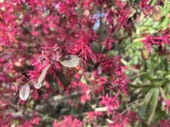 -上海吴淞炮台湾国家湿地公园
