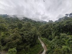 -野象谷景区