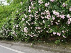 -尚贤河湿地