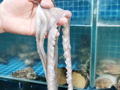 -宾朋海鲜特色美食餐厅·纯手工鲅鱼水饺(兴海路店)