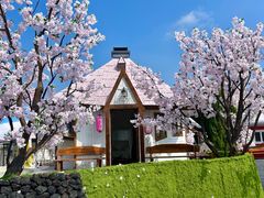 -Blue Concept Cafe&Farm·關於藍