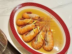 -圆苑(静安寺店)