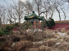 -菖蒲河公园