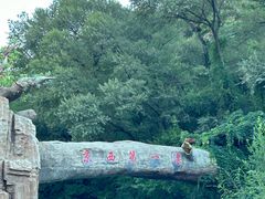 -桑干河大峡谷旅游区