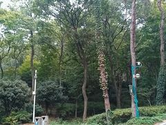 -南京老山国家森林公园