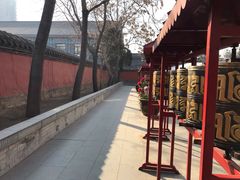 -护国法轮寺