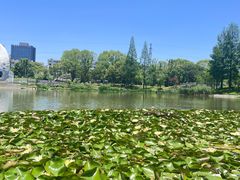 -宁波儿童公园(鄞州区)