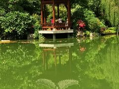 -云溪植物园