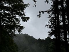-山王坪喀斯特国家生态公园