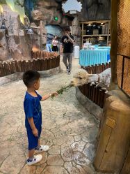 -宝燕乐园(闵行旗舰店)